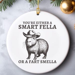 Funny Christmas Ornament Stocking Stuffer, White Elephant Gift, Funny Christmas Gift for Him, Unique Ornament Gift, Funny Gag Gift,Joke Gift