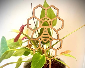 Indoor boho plant trellis-Honeybee with honeycomb style B available in 12 finishes and 3 sizes