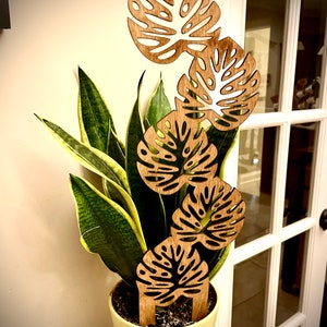 May include: A potted snake plant with a wooden plant stake featuring five cutout monstera leaves. The leaves are brown and the plant is in a light green pot.