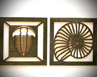Trilobite fossil and ammonite seashell fossil wood wall art, 2 panel in multiple sizes and finishes, decor wall art original
