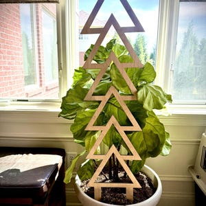 May include: A wooden plant trellis shaped like layered triangles, positioned in a white decorative pot with a large-leafed plant. The trellis, made of light-coloured wood, supports the plant. The pot is near a window, with a view of the outside.