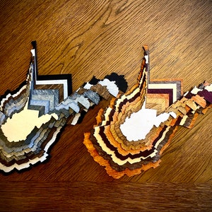 West Virginia Stacked State hout 3D tafelkunst, kunst aan de muur, meerkleurig