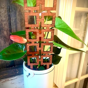 Può includere: Una pianta da interno con foglie verdi che cresce in un vaso di ceramica bianco con un bordo nero. Un traliccio di legno con un design geometrico è nel vaso per aiutare la pianta a crescere.