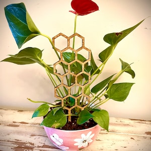 Puede incluir: Una estaca de planta de madera en forma de panal en una maceta rosa con una planta verde y una flor roja.