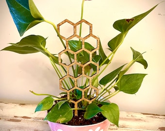 Indoor boho plant trellis-hexagon shapes available in multiple sizes and finishes; also available in GIANT 18" version in separate listing.