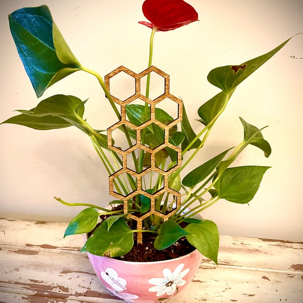 Indoor boho plant trellis-hexagon shapes available in 12 finishes and 3 sizes; also available in GIANT 18" version in separate listing.