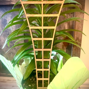 May include: A wooden plant trellis with a geometric design, made of thin strips of wood, is placed in a potted plant. The plant has long, green leaves.