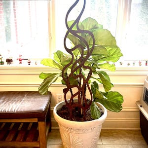 May include: A tall, decorative metal plant stake with a swirling, flame-like design in a rust-colored finish. It is placed in a large, white, ornate planter with a green-leafed plant. The planter is indoors near a window.