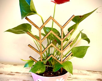 Indoor boho plant trellis-V shapes available in multiple sizes and finishes
