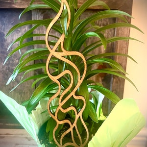 Indoor boho plant trellis-flame shapes available in multiple sizes and finishes