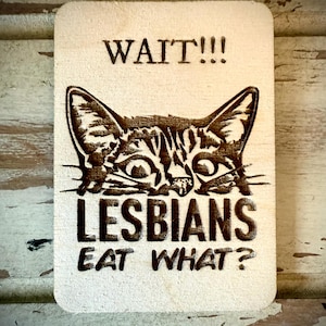Funny magnet.  WAIT!!!  Lesbians eat what? (with cat peering over suspiciously)  Funny refrigerator magnet