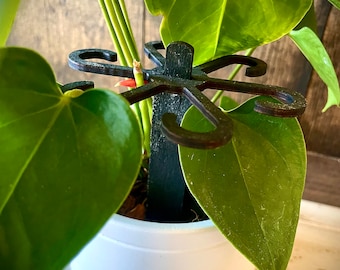 May include: A green leafy plant with a red bud growing in a white pot. The plant is supported by a black metal plant stake with multiple arms.
