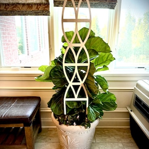 May include: A white trellis with a geometric design stands in a decorative white planter filled with a large-leafed plant. The planter has a floral design. The plant is in front of a window with a brown patterned shade.