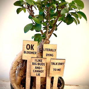 Indoor plant set of 10 funny plant / cactus stakes / labels available in 12 finishes.  Set A