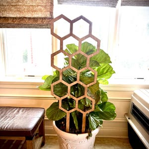 May include: A wooden plant trellis with a honeycomb design stands in a white ceramic pot with a leafy green plant. The trellis is made of light-colored wood and is placed in front of a window with brown blinds. The pot has a decorative floral pattern.