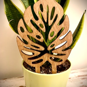 Indoor-Boho-Pflanzengitter-Monstera-Blätter in verschiedenen Größen und Ausführungen erhältlich