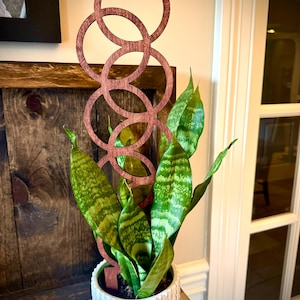May include: A potted snake plant with green and yellow striped leaves, accented by a decorative wooden trellis with interlocking circles. The plant is in a white textured pot, creating a natural and stylish indoor decor element.