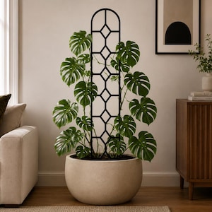 May include: A tall, black metal plant trellis with a geometric diamond and vertical bar pattern, inserted into a large, round, light beige stone-textured planter containing a lush green Monstera plant with broad, split-leaf foliage.