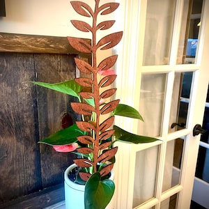 Giant 18" Indoor boho plant trellis-leafy vine available in multiple finishes and thicknesses.