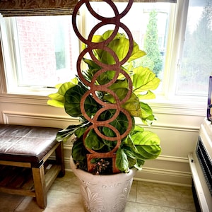 May include: A potted fiddle-leaf fig plant with a decorative wooden trellis. The trellis is made of interlocking circles. The plant is in a white, ornate pot. The plant has large, green leaves.