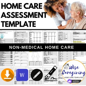 Home Care Assessment Template, Client Intake Sheet, Elderly Care Requirements, Caregiving Sheet, Non Medical Form, Editable, Printable