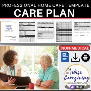 Home Care Plan Template, Non-Medical Caregiving, Personal Care Agency Form, Insurance Document, MS Word, Insert LOGO, Printable