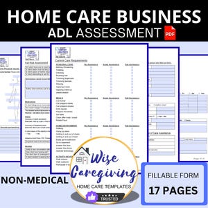 Home Care Client Information and Assessment Fillable Form Template, Non-Medical Agency, Personal Care Services, New Client Intake, Printable