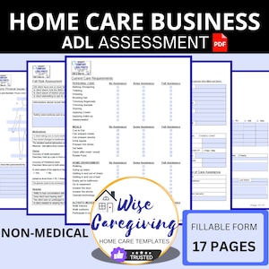 Fillable Home Care Assessment Template: New Client Intake (PDF Adobe Acrobat)