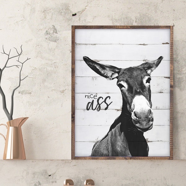 Nice Ass — Funny Bathroom Signs, Faux Wood Texture on Framed Canvas, Cute Washroom Home Signs, Adult humor wall art, Humorous Decor
