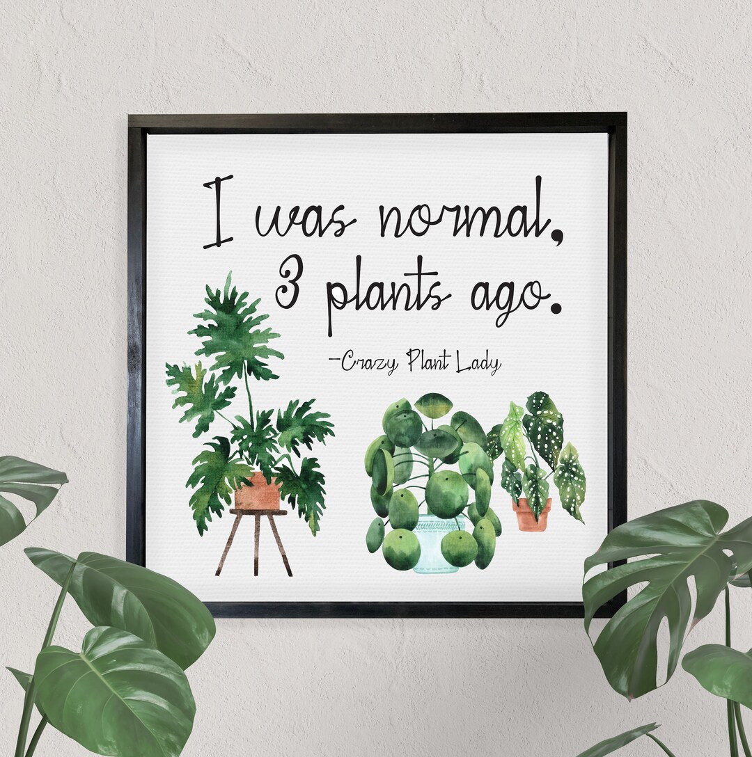 Crazy Plant Lady Wall Art Watercolor Plant Decor, Floral Design Framed