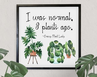 Crazy Plant Lady Wall Art — Watercolor Plant Decor, Floral Design Framed Canvas, Unframed Canvas, Mother's Day Gift, Garden Signs