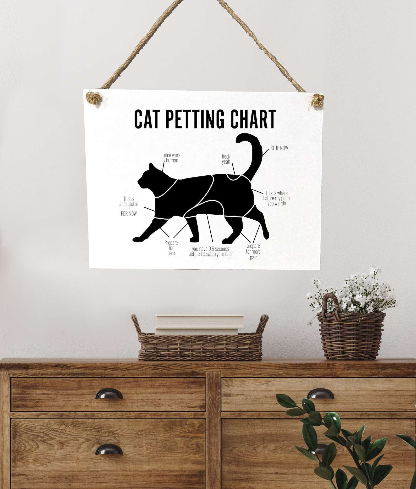 Cat Petting Chart Print on Canvas Funny Cat Print Cat Wall Etsy
