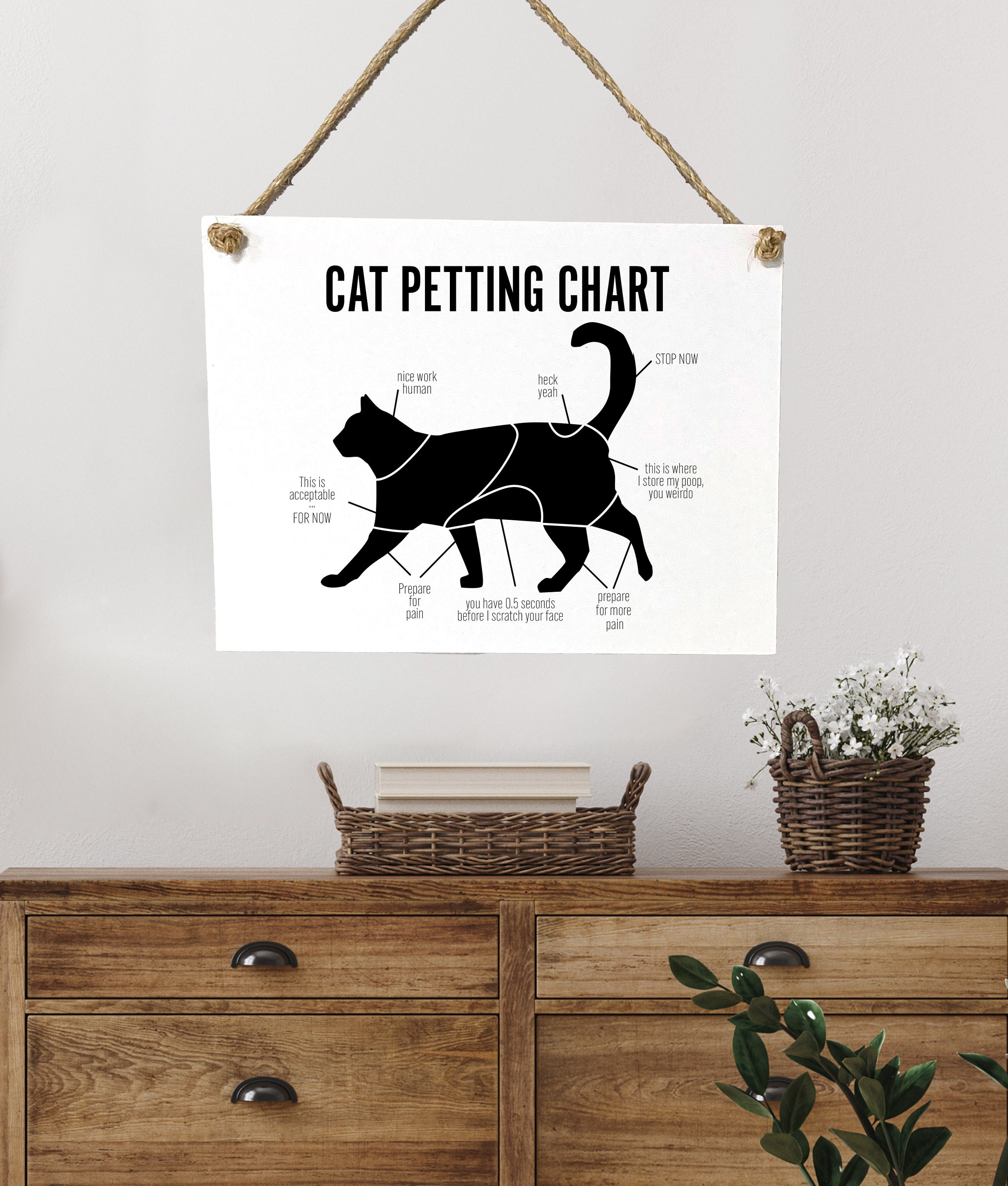 20+ Cat Female Anatomy Diagram