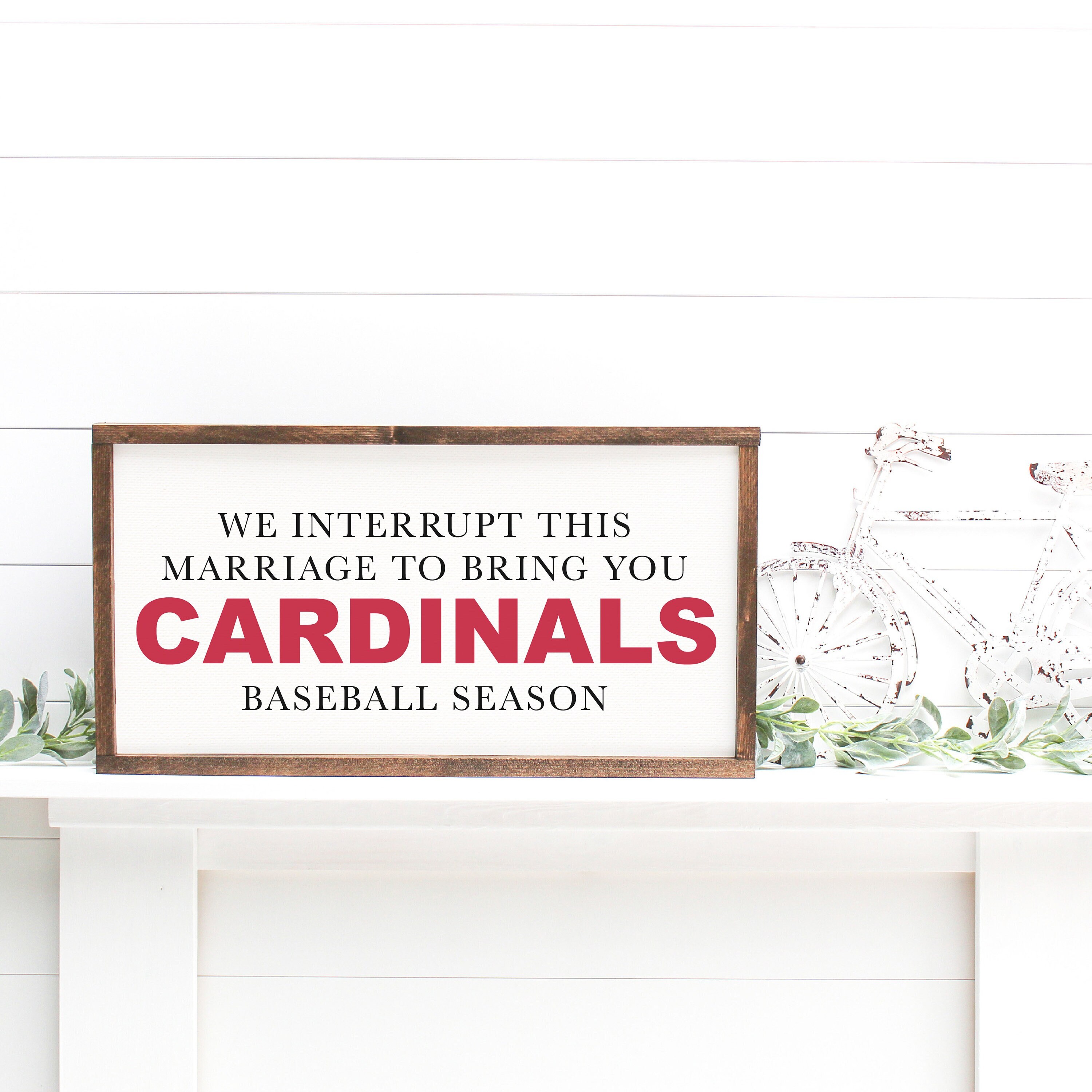  Decorative Concepts Saint Louis Cardinals Baseball 16