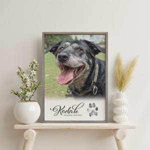Memorial con foto y huella de pata en tinta: foto con huella de pata personalizada + nombre, fechas en lienzo, monumento para perro, obsequio de duelo, obsequio sentimental