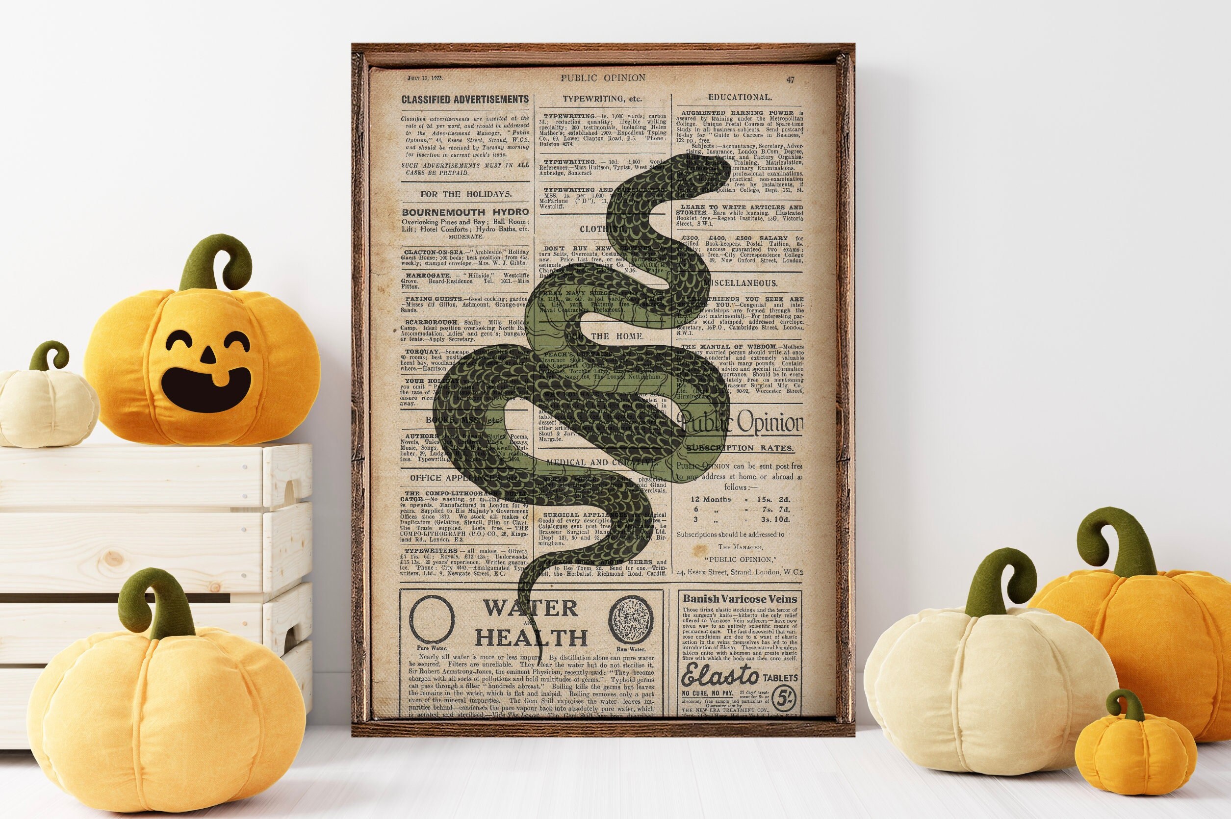 Snake Newspaper Halloween Print Halloween Decor Framed - Etsy