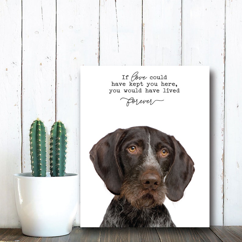 Pet Memorial Print on Canvas If love Could have Kept You