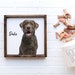 Custom Pet Photo Print Canvas, Oil Effect on Canvas, Framed Photo on Canvas, Multiple Sizes & Stain Options, Birthday Gift 