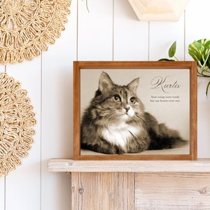 May include: A framed sepia-toned photograph of a cat with the text "Kurtis" and the quote "Your wings were ready but our hearts were not."