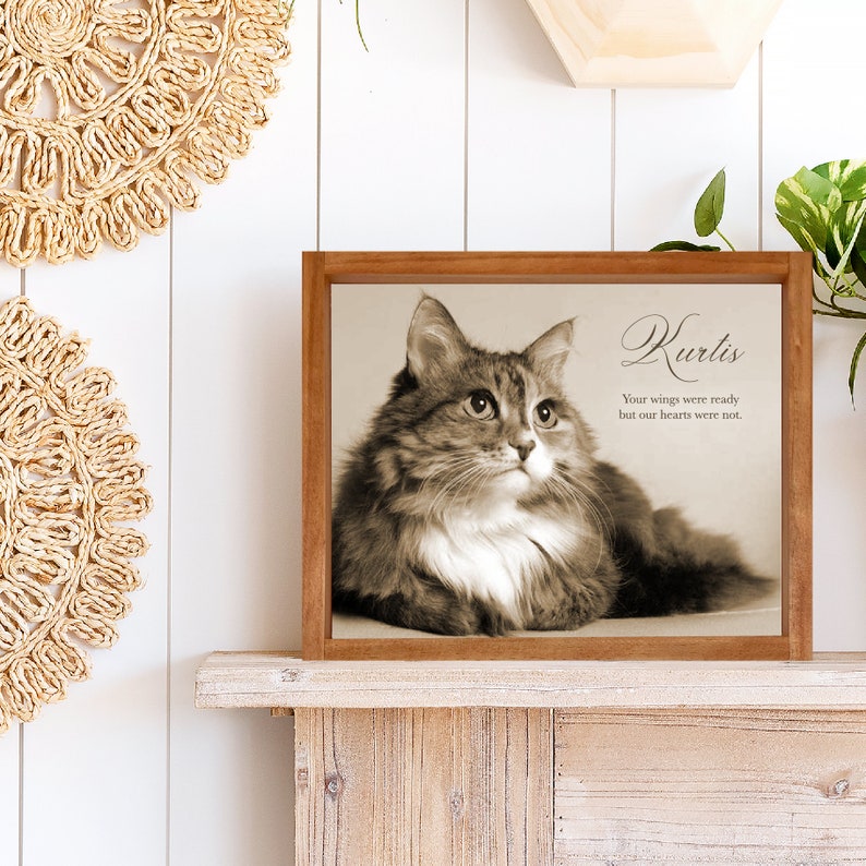 May include: A framed sepia-toned photograph of a cat with the text "Kurtis" and the quote "Your wings were ready but our hearts were not."