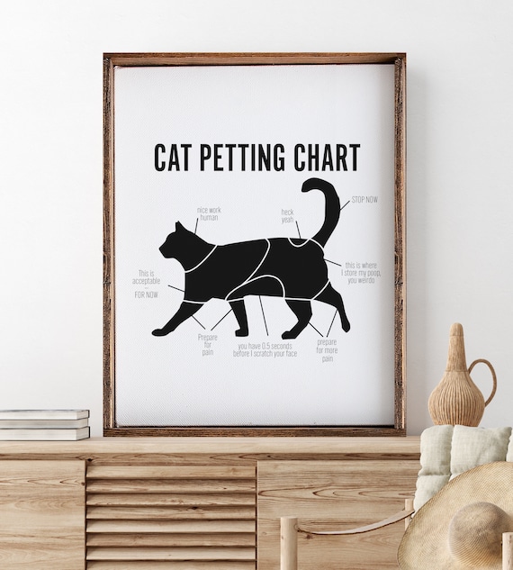 How To Stop Dog From Scratching Walls