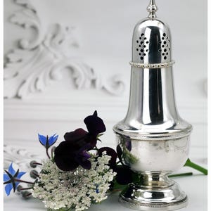 Victorian Style Silver Plated Sugar Sifter: Antique Tableware
