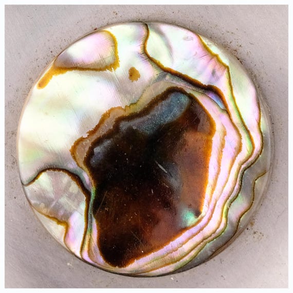 Mid Century Lord Python Modernist Abalone Sheffie… - image 2