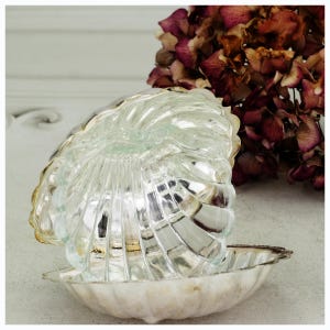 Könnte beinhalten: Eine klare, spiralförmige Glasform mit silberfarbenem Boden. Die Form ist offen und gibt den Blick ins Innere frei. Getrocknete, burgunderfarbene Blumen befinden sich im Hintergrund. Die Form wird wahrscheinlich zur Herstellung von Desserts oder Dekorationsartikeln verwendet.