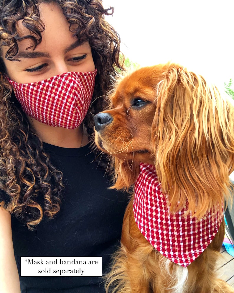 MaskPals Adult Face Mask with Adjustable Ear Loops and Filter Etsy