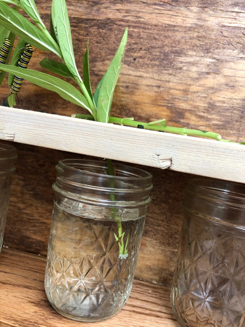 Butterfly Habitat pdf Construction Plan DIY Etsy