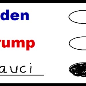 May include: A white ballot with three names: Biden, Trump, and Fauci. A black circle is filled in next to Fauci's name.