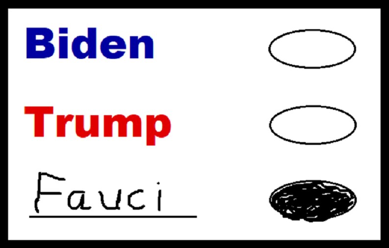 May include: A white ballot with three names: Biden, Trump, and Fauci. A black circle is filled in next to Fauci's name.