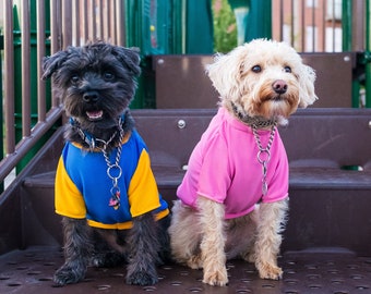 dog rash shirt