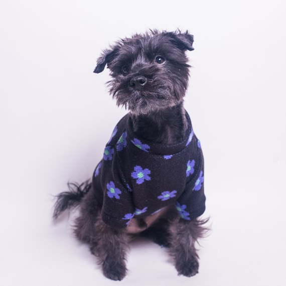Black dog best sale apparel